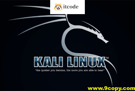 最全的KALI&BT5 linux网络攻防教程