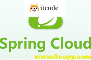 尚硅谷2024最新版SpringCloud教程