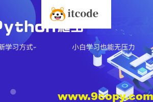 夜猫编程Python爬虫JS逆向进阶课(录播课＋答疑)从零基础到高薪就业编程课