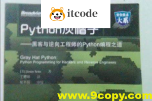 Python灰帽子网络安全实践