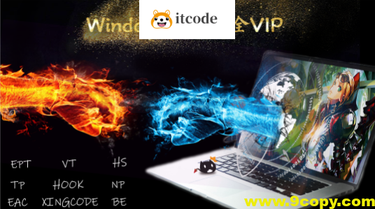 Windows内核安全VIP