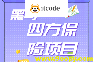 黑马四方保险项目