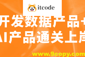 开发数据产品+AI产品通关上岸