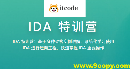 【看雪】IDA特训营