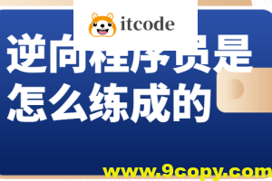 逆向程序员是怎么练成的