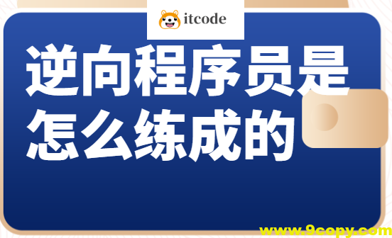 逆向程序员是怎么练成的