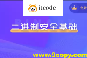 二进制安全系列教程