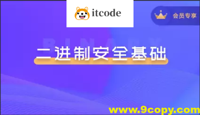 二进制安全系列教程