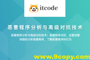 恶意程序分析与高级对抗技术