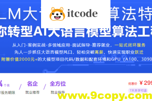 LLM大语言模型算法特训 带你转型AI大语言模型算法工程师