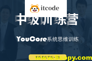 YouCore系统思维中级训练营