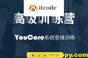 YouCore系统思维高级训练