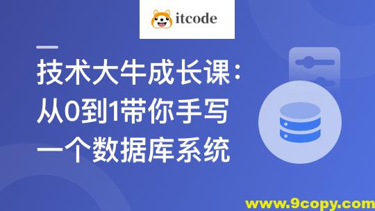 技术大牛成长课,从0到1带你手写一个数据库系统