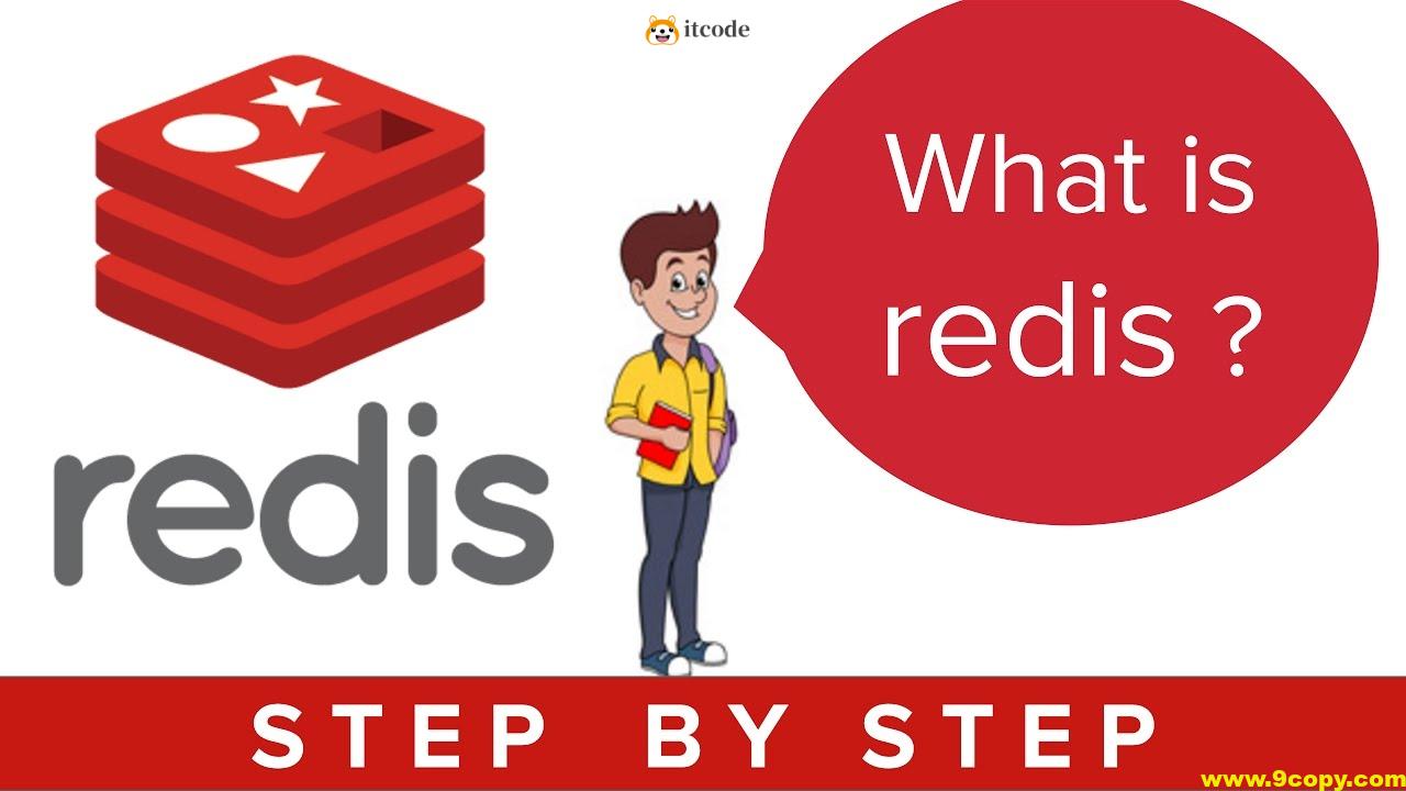 知识星球 Java达摩院深入理解Redis教程