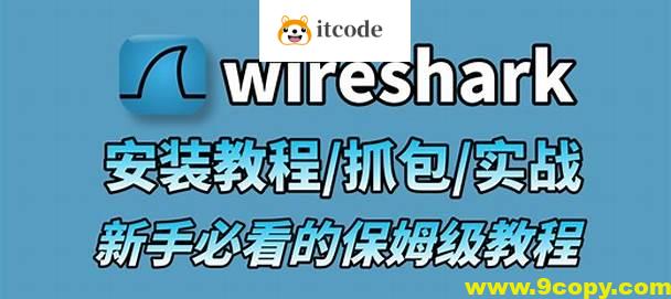 Wireshark+Sniffer 小白到专家 所需所有教程+实战