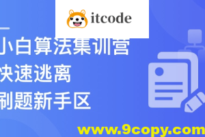 小白算法集训营-大幅提升刷题量，快速逃离新手区