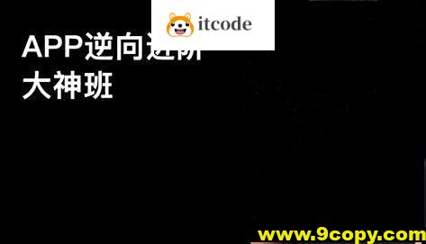 路飞-APP逆向超级大神班第10期