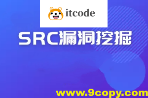 2024最新SRC漏洞报告
