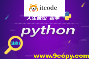 王道Python工程师2024长期班10期|价值过万