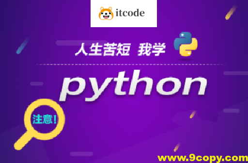 王道Python工程师2024长期班10期|价值过万