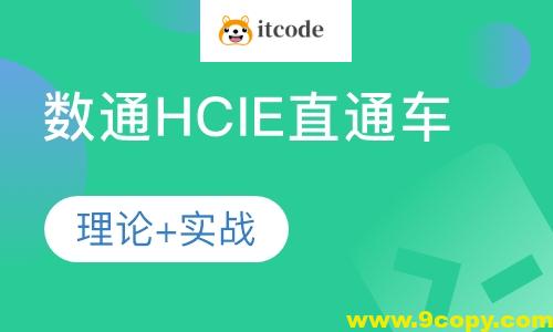 HCIE-阮维数通直通车2024