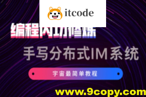 硬核学堂-开发内功修炼营集合+手写分布式IM系统