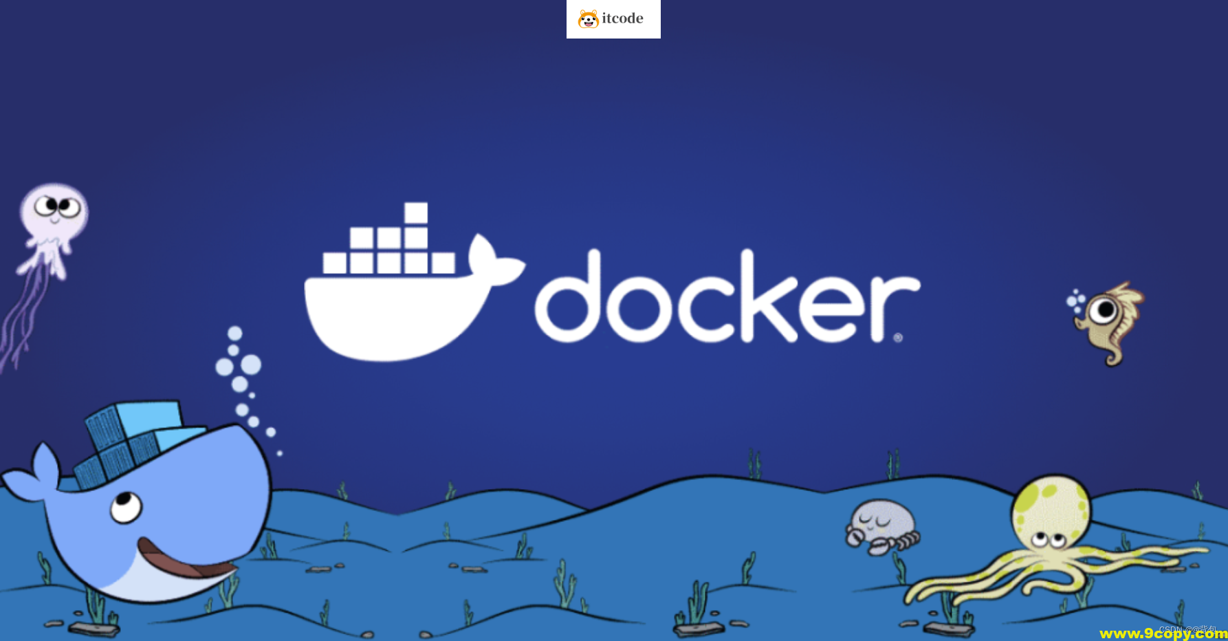 Docker从零走向实战 完整资料