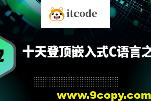 十天登顶嵌入式C语言之巅（高手C）