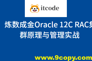 炼数成金Oracle 12C RAC集群原理与管理实战