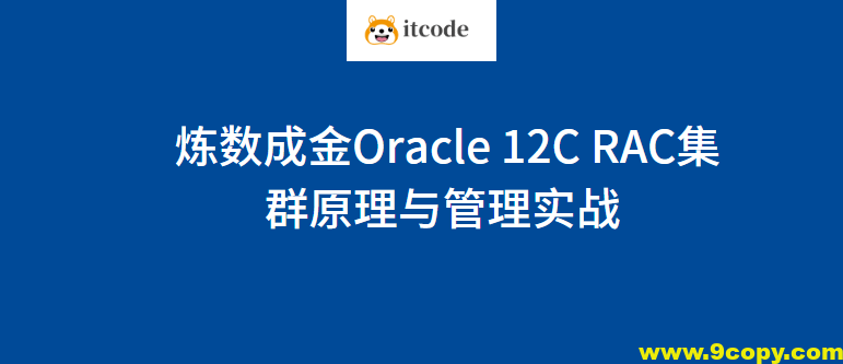 炼数成金Oracle 12C RAC集群原理与管理实战