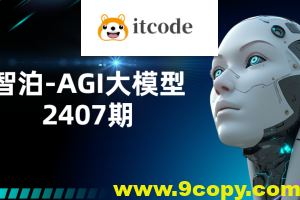 智泊-AGI大模型2407期