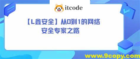 【老鑫安全】从0到1的网络安全专家之路 二进制安全和Web安全