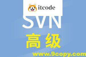 硅谷SVN高级视频