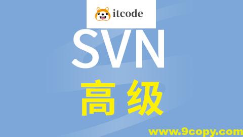 硅谷SVN高级视频