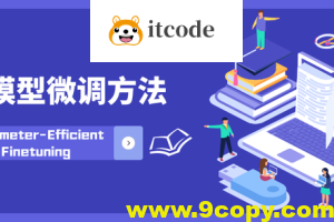 领域大模型微调案例课