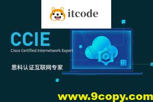 新盟康sir-CCIE-LAB录屏-37期
