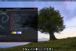 个人对Debian桌面系统的简单使用分享