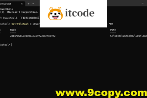MD5 值是什么？为什么文件需要检验 MD5？