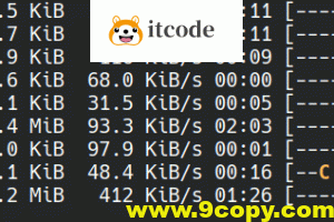 go语言实现终端里的倒计时