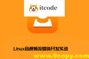 零声-Linux音视频流媒体开发实战TCP_UDP_RTSP_RTMP_P2P_WebRTC