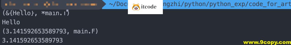 Golang中神奇的interface，不仅是接口还是类型