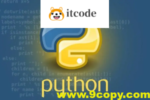 202501期数据分析-小新老师