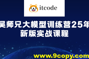 吴师兄大模型训练营25年新版实战课程