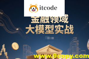 金融领域大模型实战