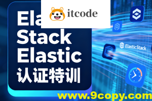 Elastic Stack Elastic认证特训