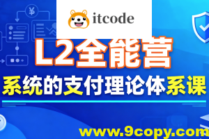支付学院L2全能营，系统的支付理论体系课