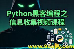 Python黑客编程之信息收集视频课程