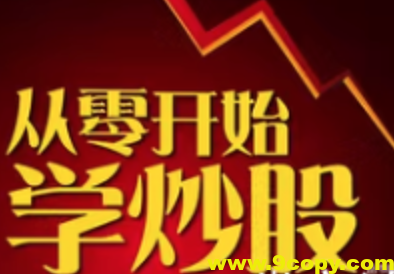 从零开始学炒股，股票入门与实战全彩版 一入股市深似海