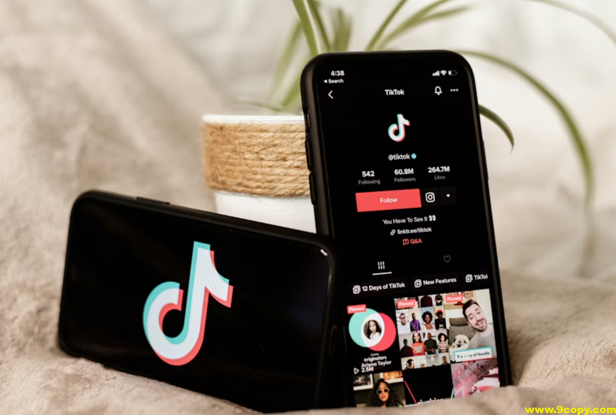 TikTok全套视频课,新手入门+进阶课,短视频ADS-GMV MAX投流打品,日销破1000单打法