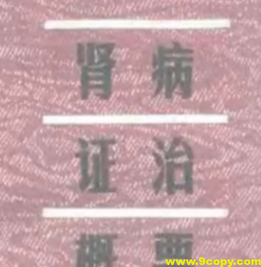 肾病中医证治 中医特色疗法